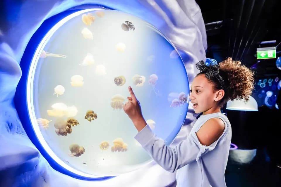 Advance Ticket: SEA LIFE London Aquarium – Entry Ticket - Image 8