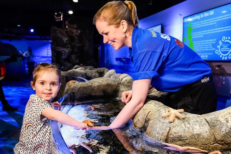 Advance Ticket: SEA LIFE London Aquarium – Entry Ticket - Image 6